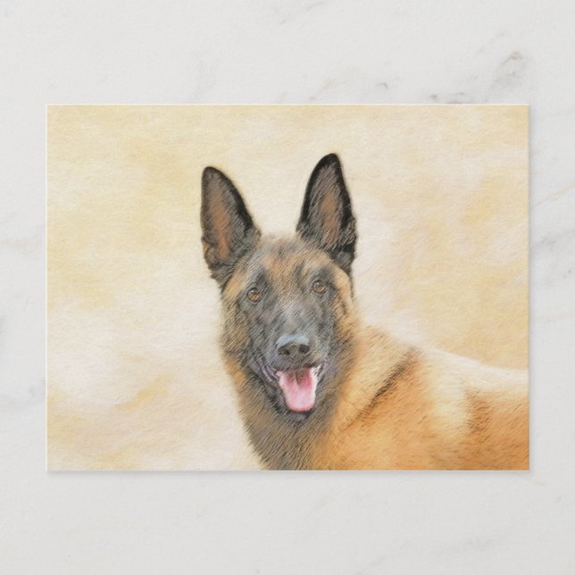Postal Pintura belga malinois - Arte de perro original (Anverso)
