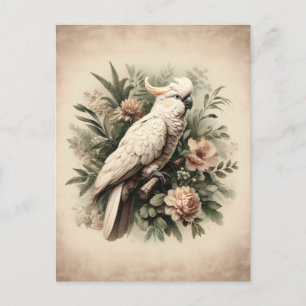 Postal Pintura botánica de Cockatoo de época