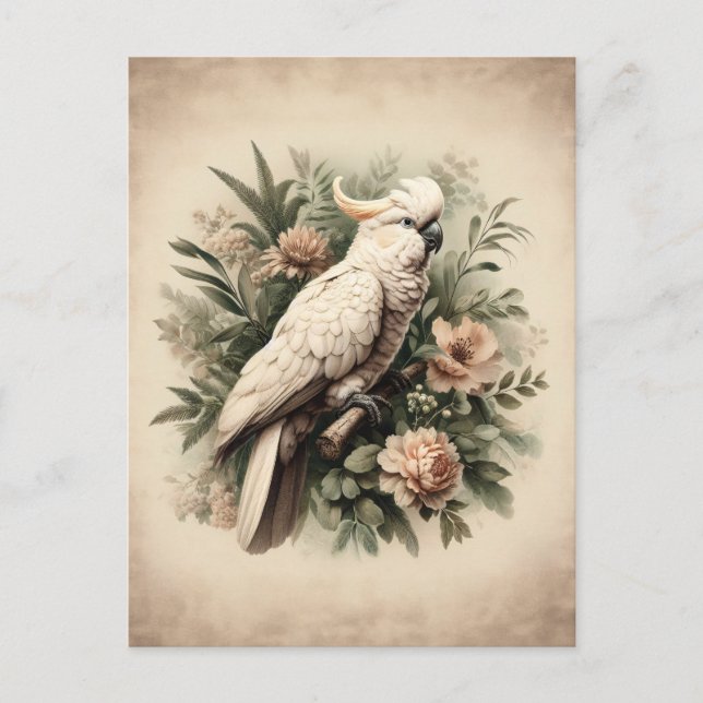 Postal Pintura botánica de Cockatoo de época (Anverso)