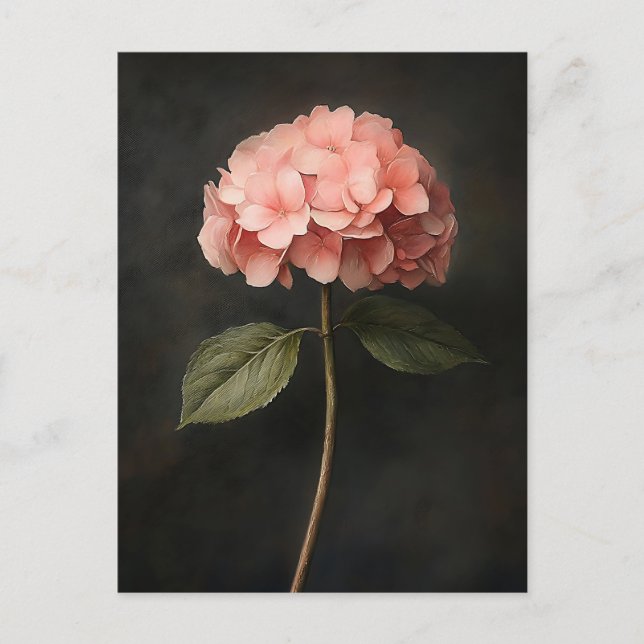 Postal Pintura botánica de Hydrangea rosa (Anverso)