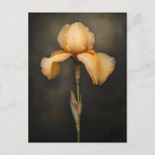 Postal Pintura botánica de Iris amarillo
