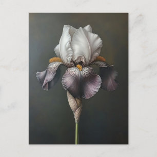 Postal Pintura botánica de iris morado y blanco