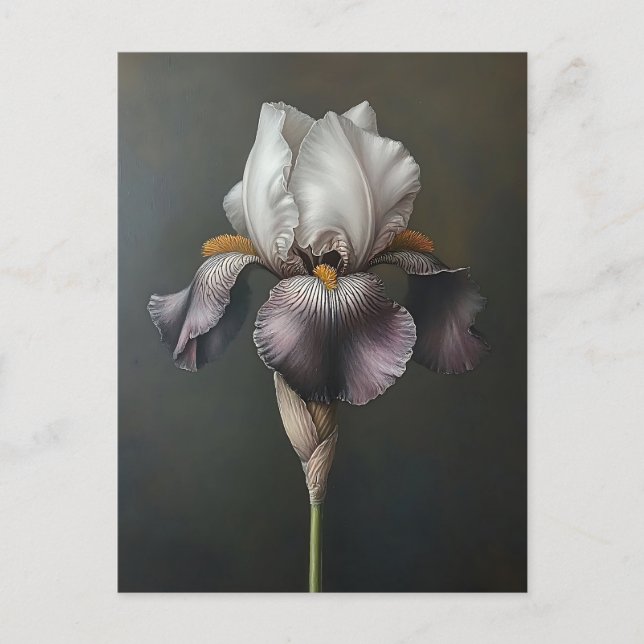 Postal Pintura botánica de iris morado y blanco (Anverso)