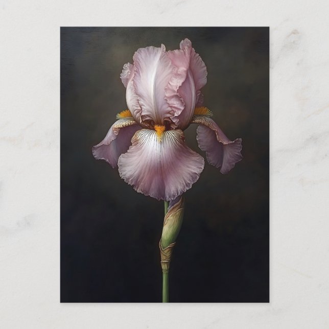 Postal Pintura Botánica de Iris Púrpura (Anverso)
