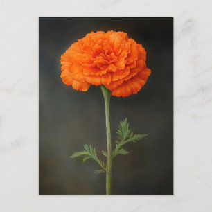Postal Pintura botánica de Marigold