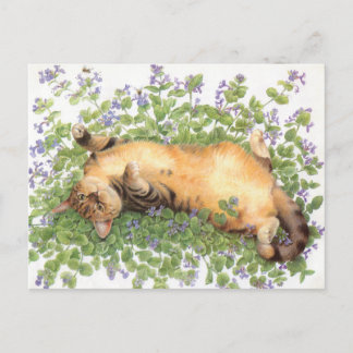 POSTAL PINTURA CAT