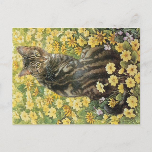 POSTAL PINTURA CAT (Anverso)
