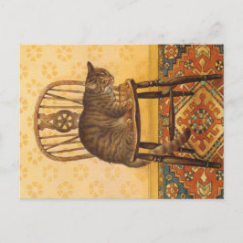 POSTAL PINTURA CAT