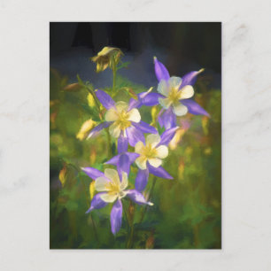 Postal Pintura Colorado Blue Columbine - Arte Original