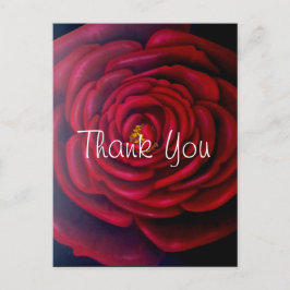 Postal Pintura de aceite de rosa roja, gracias