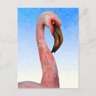 Postal Pintura de Acuarela de Ave Flamingo Rosa