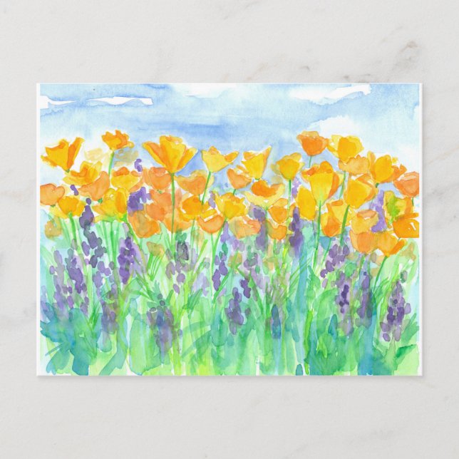 Postal Pintura de acuarela de California Poppies (Anverso)