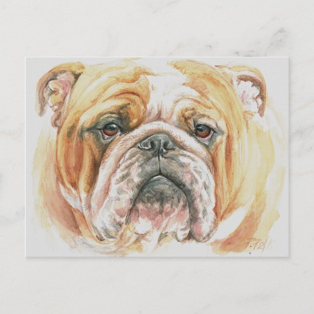 Postal Pintura de acuarela de cara al Bulldog inglés (Anverso)