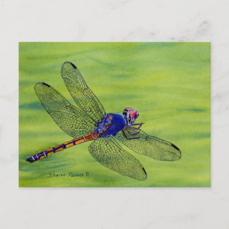 Postal Pintura de acuarela de la libélula