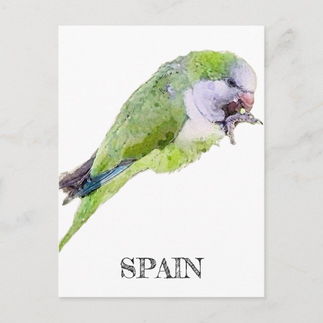 Postal Pintura de acuarela de loro verde (Anverso)