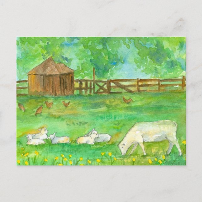 Postal Pintura de animales de granja de pollo de oveja (Anverso)