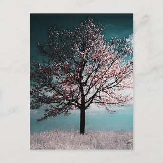 Postal Pintura de árbol de flores de cerezo - Dusk