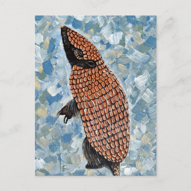 Postal Pintura de Armadillo (Anverso)