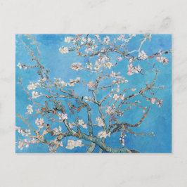 Postal Pintura de arte de Almond Blossoms Blue Vincent va
