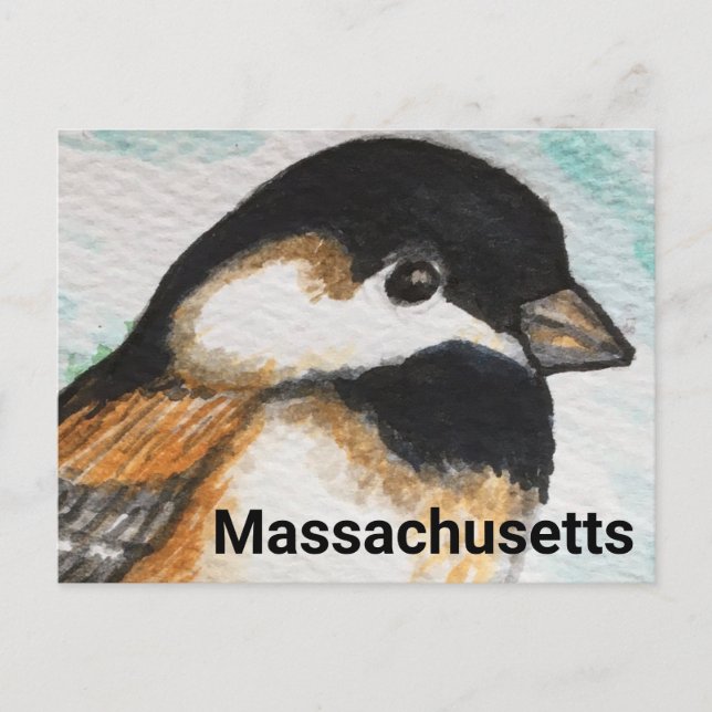 Postal Pintura de aves del estado de Chickadee en Massach (Anverso)