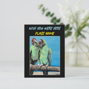 Postal Pintura de "Beach Parrots" en un