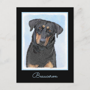Postal Pintura de Beauceron - Arte de perros original y b