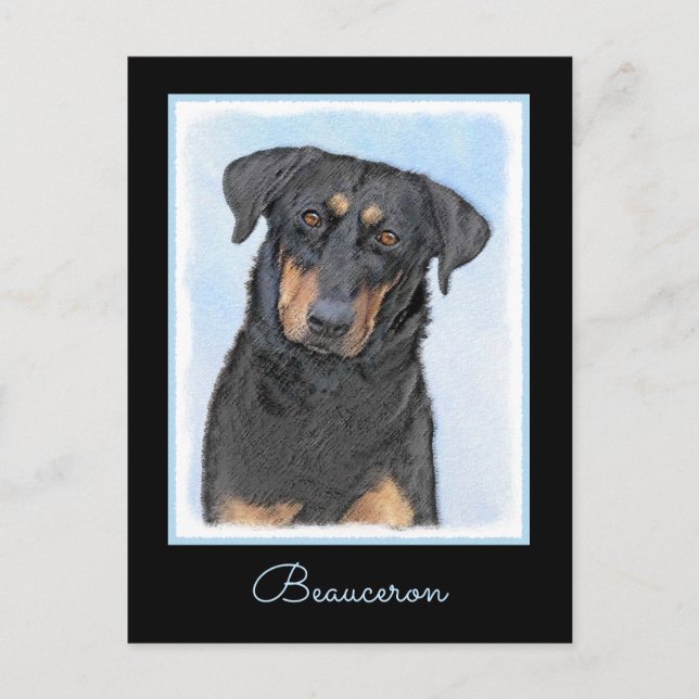 Postal Pintura de Beauceron - Arte de perros original y b (Anverso)