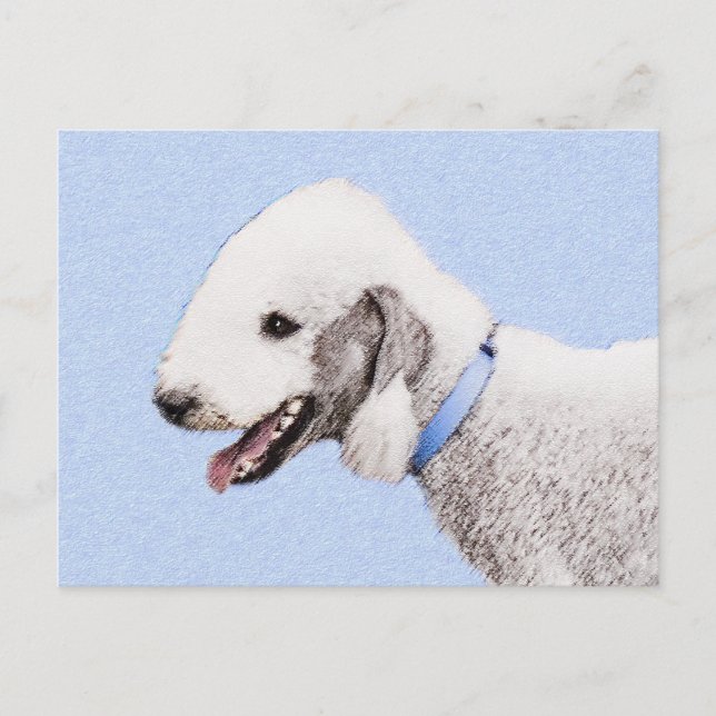 Postal Pintura de Bedlington Terrier - Original Perro Art (Anverso)