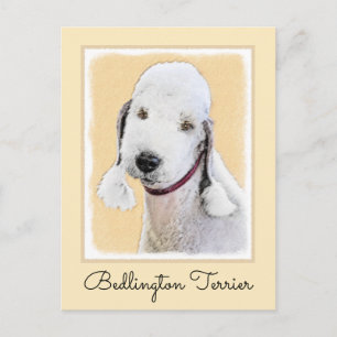 Postal Pintura de Bedlington Terrier - Original Perro Art