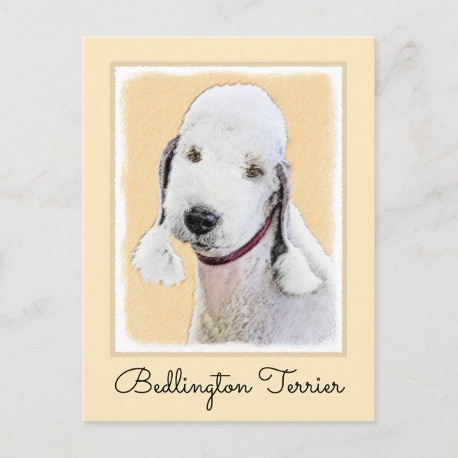 Postal Pintura de Bedlington Terrier - Original Perro Art (Anverso)
