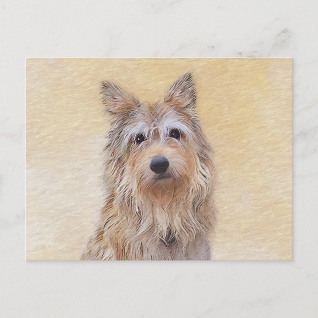Postal Pintura de Berger Picard - Arte de Perro Original. (Anverso)