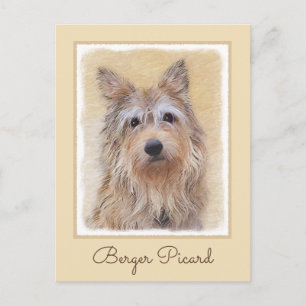 Postal Pintura de Berger Picard - Arte de Perro Original.