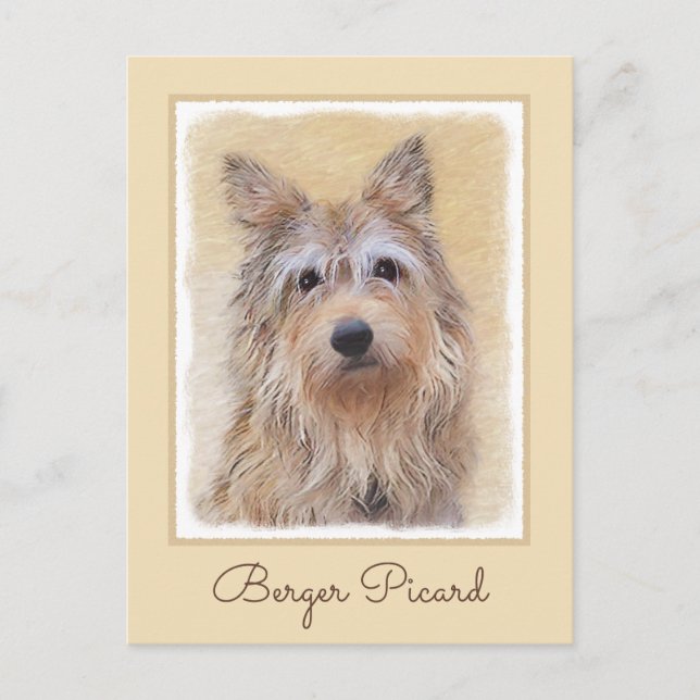 Postal Pintura de Berger Picard - Arte de Perro Original. (Anverso)