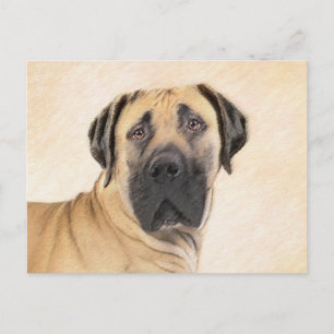 Postal Pintura de Boerboel - Arte Perro Original Cuto