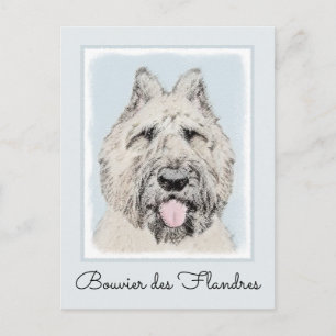 Postal Pintura de Bouvier des Flandres - Arte original de