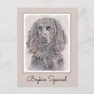 Postal Pintura de Boykin Spaniel - Arte de Perro Original