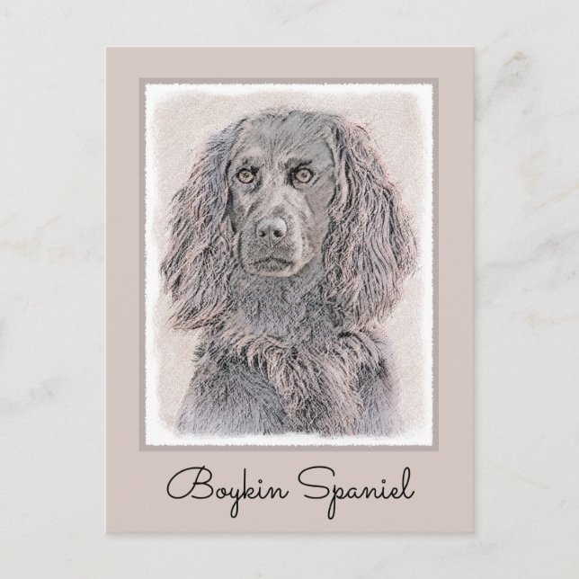 Postal Pintura de Boykin Spaniel - Arte de Perro Original (Anverso)