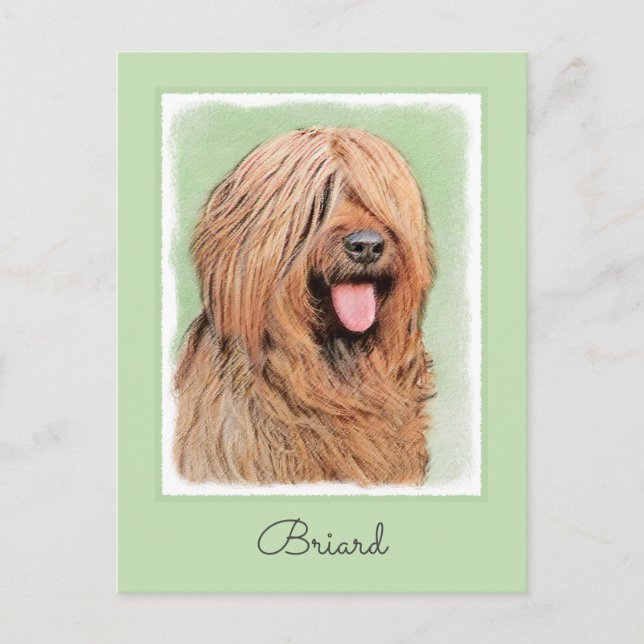 Postal Pintura de Briard - Arte de Perro Original. (Anverso)
