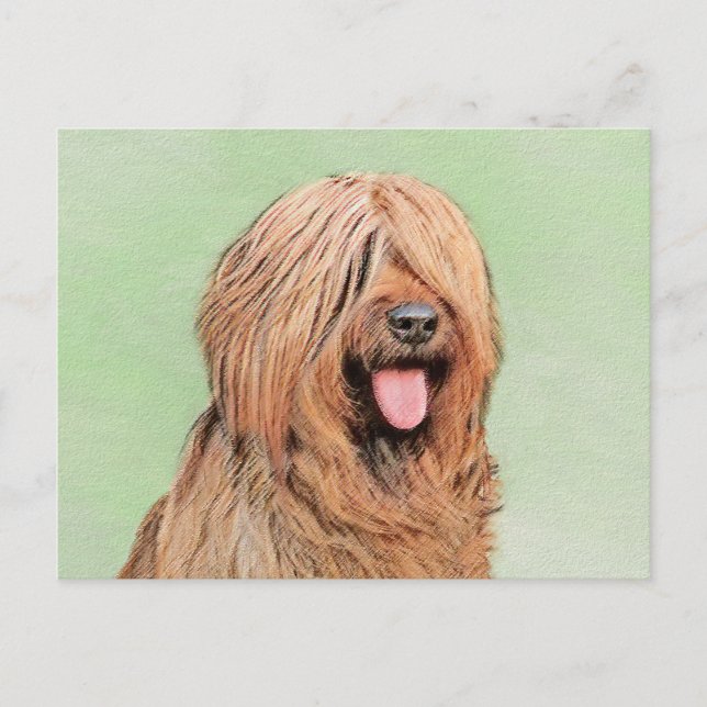 Postal Pintura de Briard - Arte de Perro Original. (Anverso)