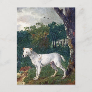Postal Pintura de Bull Terrier - Bella Artes de época