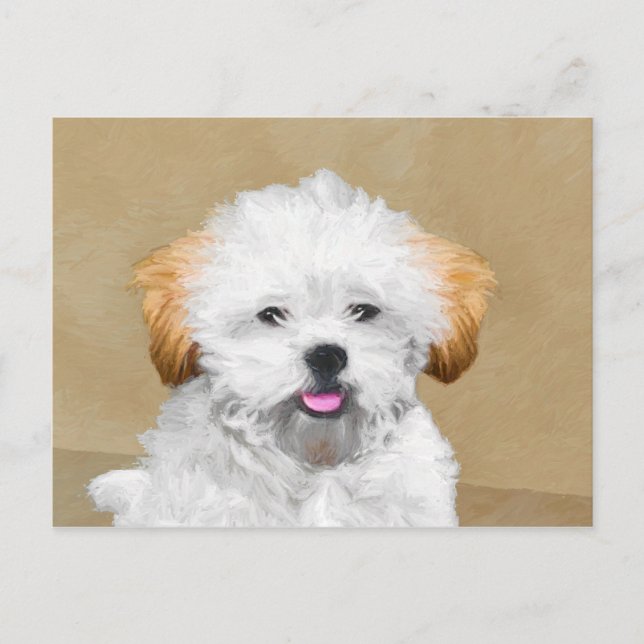 Postal Pintura de cachorro de Aprenta Lhasa - Arte de Per (Anverso)