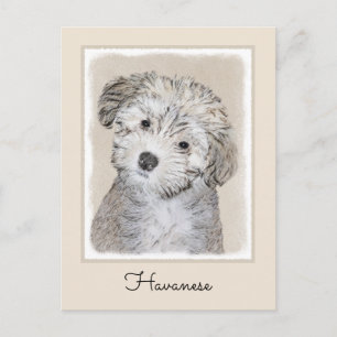 Postal Pintura de cachorro habanesa - Arte de perro origi