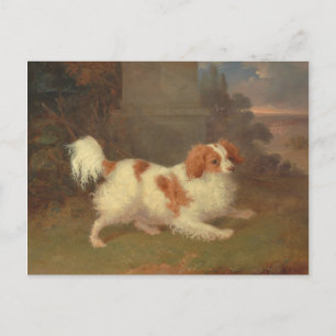 Postal Pintura de Calvalier King Charles Spaniel