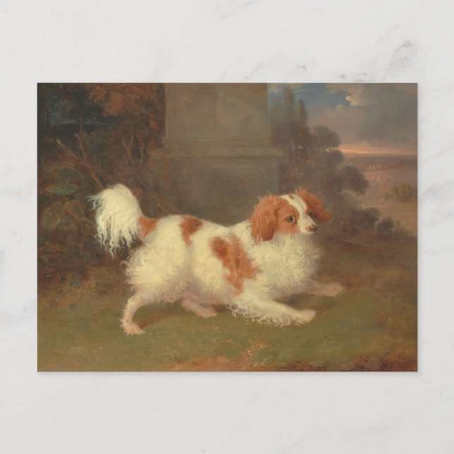 Postal Pintura de Calvalier King Charles Spaniel (Anverso)