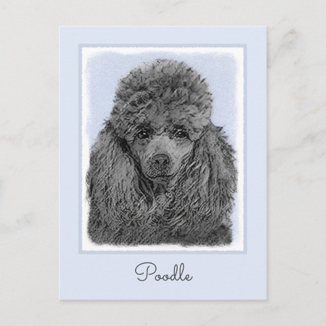 Postal Pintura de Caniche Juguete Enano Negro Arte Origin (Anverso)