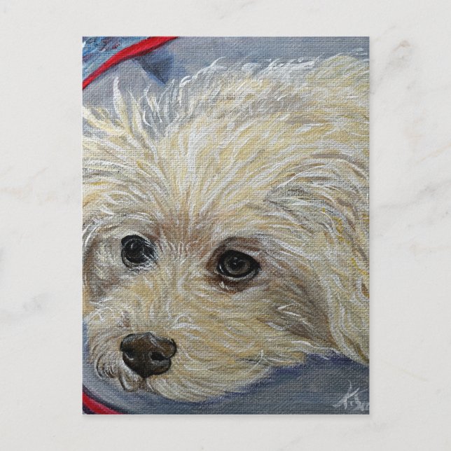 Postal Pintura de caramelo de juguete - Cece (Anverso)