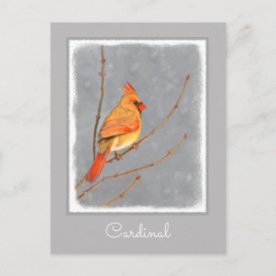 Postal Pintura de Cardenal en Rama - Arte de Pájaros Orig