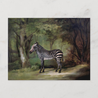 Postal pintura de cebra (1763)