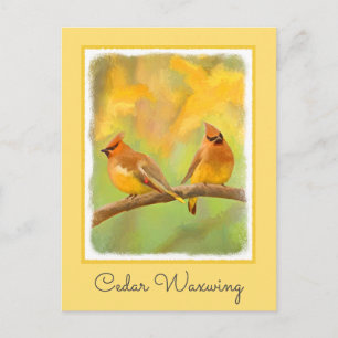 Postal Pintura de cedro Waxwing - Arte de perro original 
