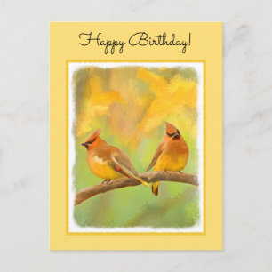 Postal Pintura de cedro Waxwing - Arte de perro original